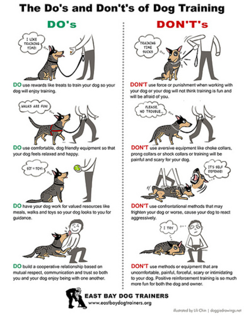 Zielig Partina City lotus Hoe de hond te trainen Do's and don't's(Cartoon) - Honden Encylopedie