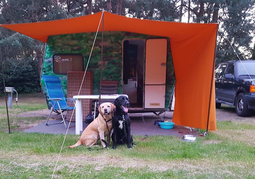 Neem een ​​bad Wat Hick Hondenhek voor op de camping | HondenForum