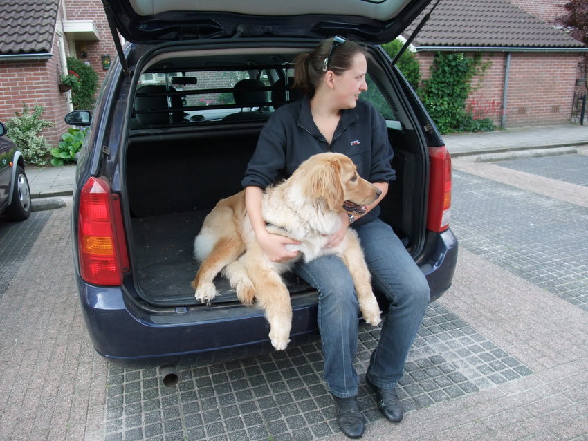 geur Lief Diploma vervoer hond(en) - pagina 2 | HondenForum