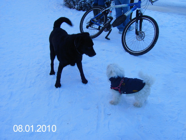 ice en spooky winter 2009 zullen we de schaatsen onderbinden?