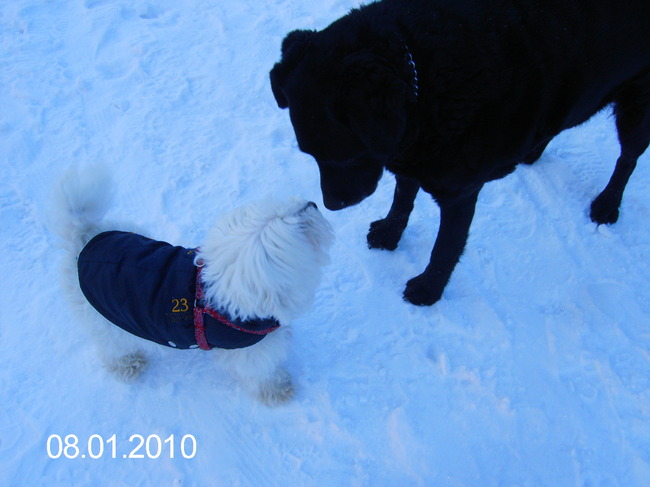 kusje en tot de volgende keer maar weer.ice en spooky.2009