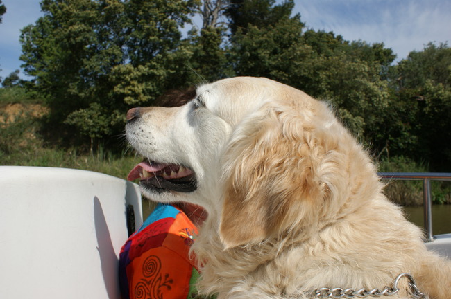 Was wel erg leuk op de boot maar ik mocht er niet eens vanaf springen en eens lekker zwemmen!