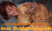 honden foto van carine met Bordeauxdogskes Bo en Fee