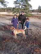 honden foto van Marise Taborsky