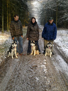 honden foto van Antje Hofman