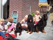 honden foto van Marloes van Alphen