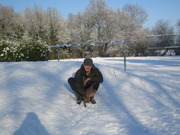 honden foto van De Roeck Frank