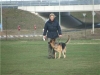 honden foto van ingrid van vliet