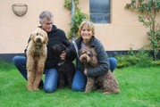 honden foto van Lotje van de Vorst