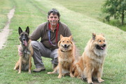 honden foto van marc van nueten