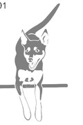 honden foto honden foto van ikke