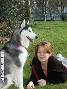 honden foto van (L) my dog