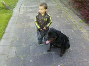 honden foto van ingrid