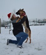 honden foto van Jennis Vandenberghe