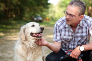 honden foto van Top Hondenopvoeding