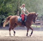 honden foto van gauthier