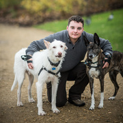 honden foto van Robin Ernst