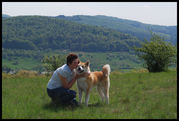 honden foto van Bianca De Boeck