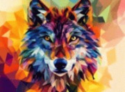 honden foto honden foto van Mei