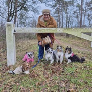 honden foto van Wichita en haar roedel - Eevee, Glacee, Grant, Bloom & Mizuki