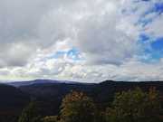 honden foto honden foto van .