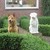 honden foto van Sandra