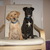 honden foto van chickie en pip