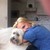 honden foto van Sharon brabant